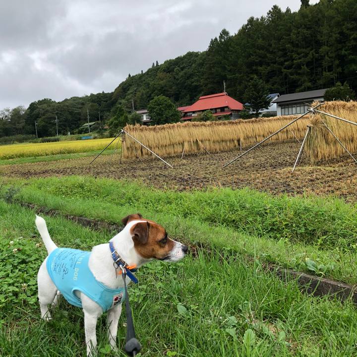 E3eb3ee1 489c 414e 8b22 8eb777e2c1b6 1601092595997