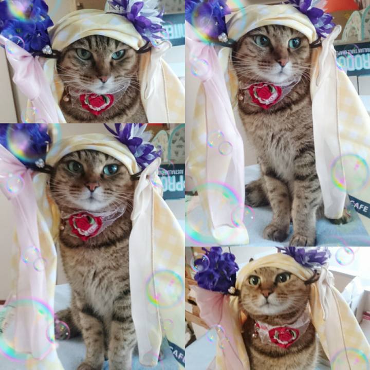 E3ec31ee a59a 4c79 abee 03e292d85616 1771457689288