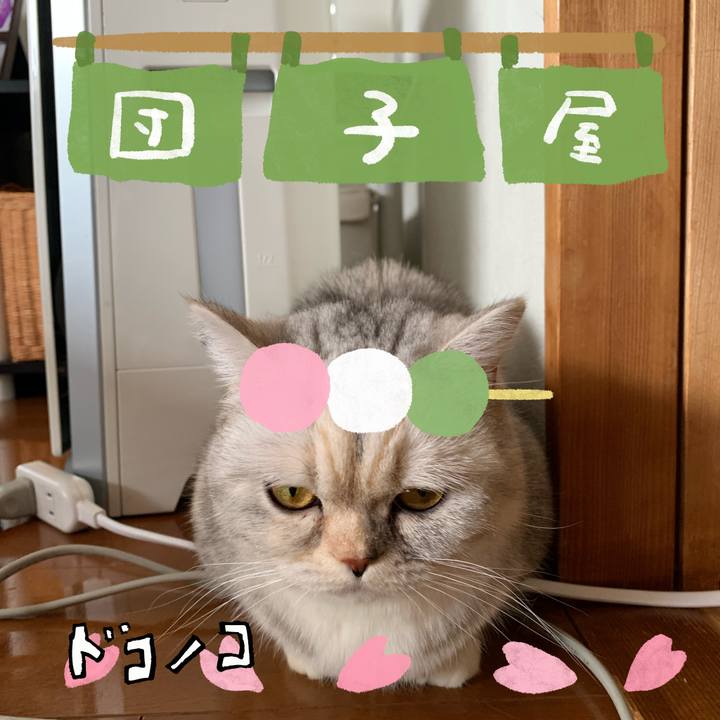 E3ec4cf2 800c 4640 86a5 8482e8d4181e 1712473139067