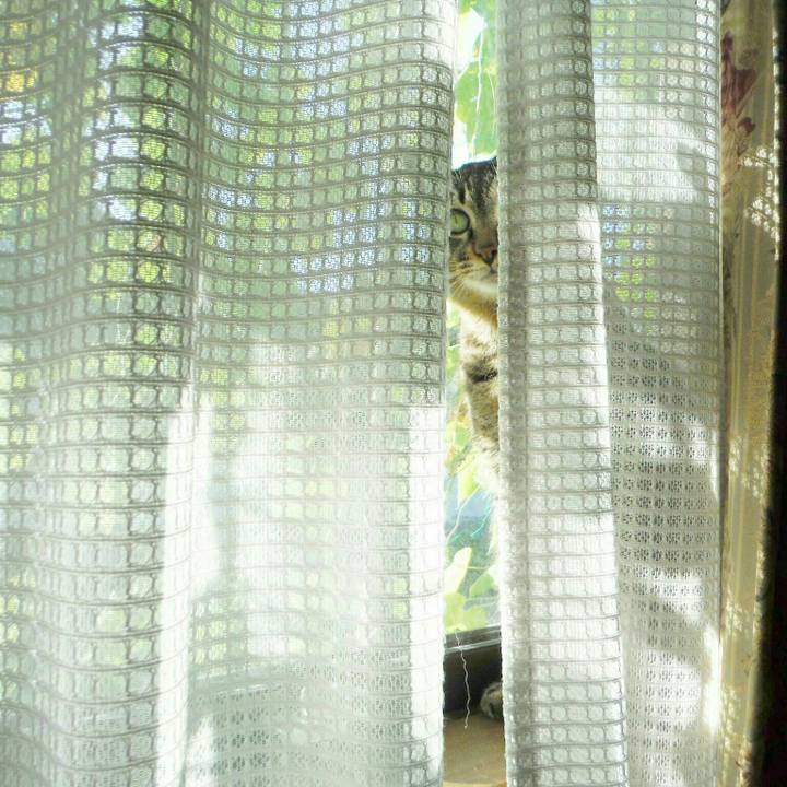 E3ec66d0 5a20 46be 82e5 e9e322e42a5f 1540429961865