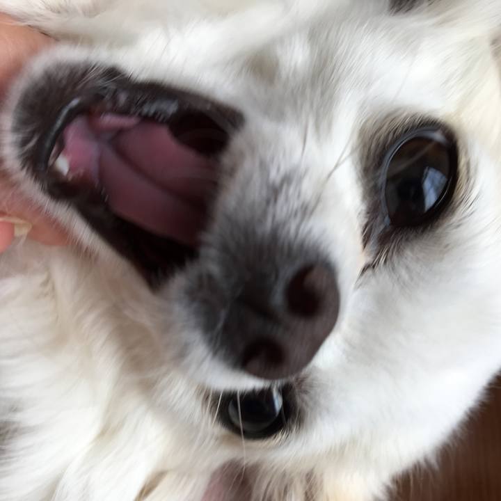 E3ec82ca 13d1 4de0 b24a c04efd9f29db 1523582231209