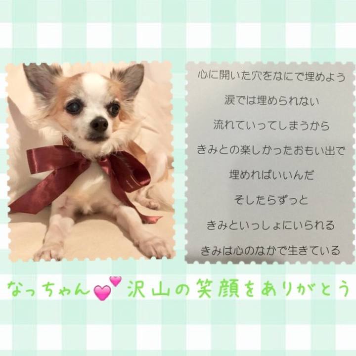 E3ec8c43 0f28 4449 8317 30181c41ce01 1524567044741