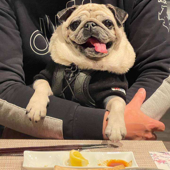 E3ec94f7 fa16 49ef 88d5 b103edb23e5f 1774655801446