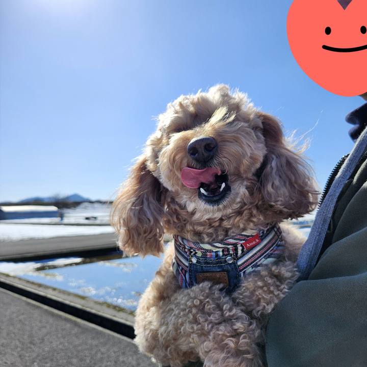 E3ecc836 c6a1 477c bf92 54f775722d27 1771652143285