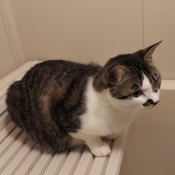 E3ece790 7fd6 4322 8e71 09766deec42b 1650805518097