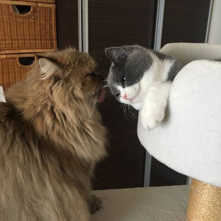 E3ecea2f 42bd 4a32 80d9 cbc4586db8bf 1509423642140