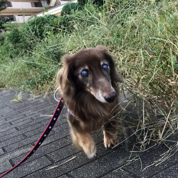 E3ed0eae eb17 466f a429 221fac6bafd7 1539048138496