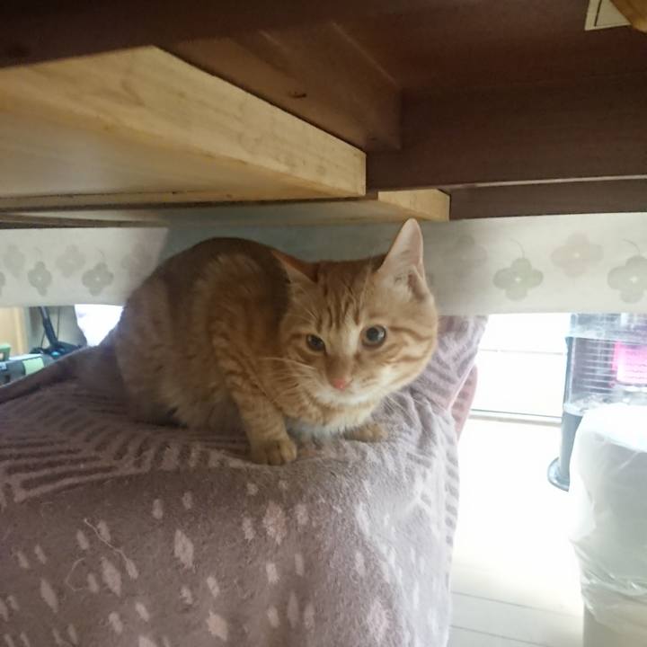 E3ed4562 6aa0 46ec ac88 1ee3e90ec04a 1645047546544