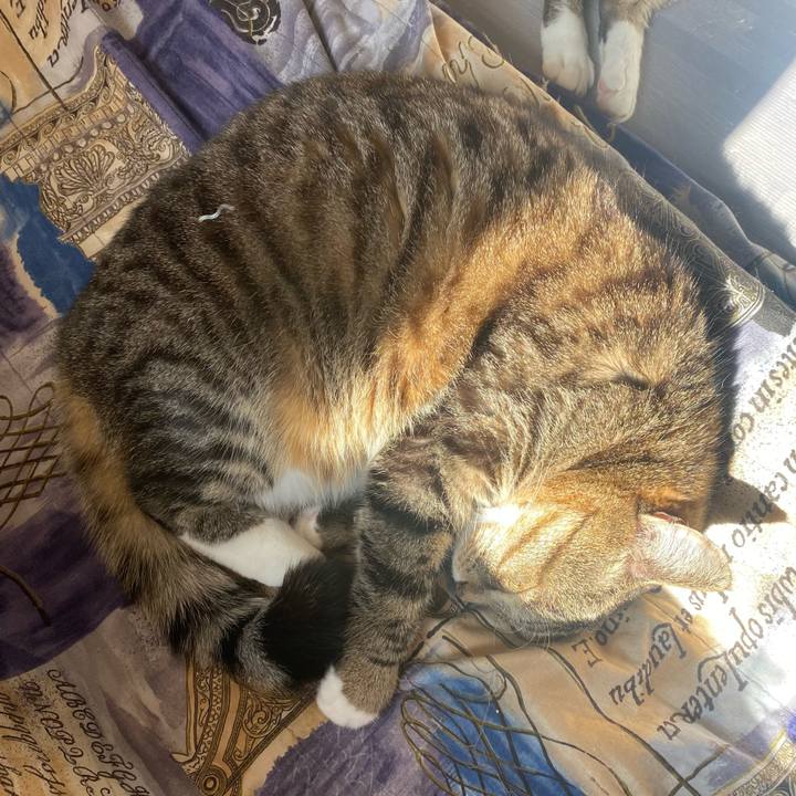 E3ed5719 ddbe 458e 94fe 759cb0e3ff56 1646017772973