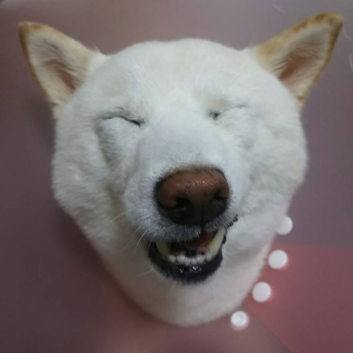 E3ed6a29 ef5e 46d9 80e7 a70dd87d60aa 1593830654718