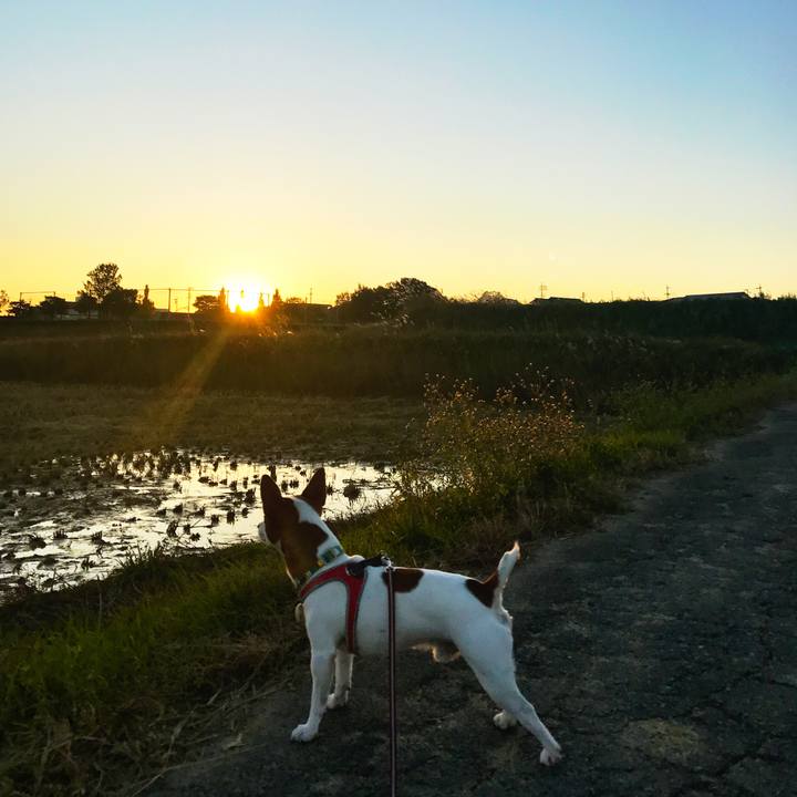 E3ed7796 03e2 4796 9b3e 4511e75800b1 1511264270598