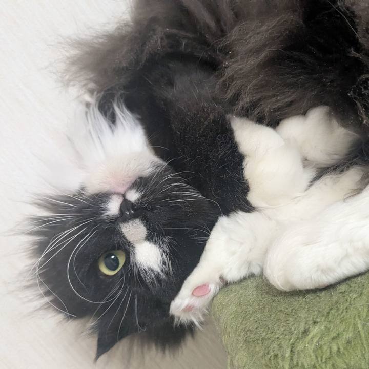 E3edd3d1 fef5 421a 81a4 03ad980cb75d 1773786859234