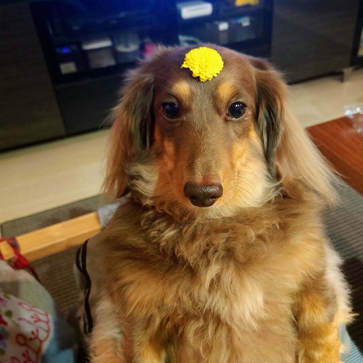 E3eddcb2 06f6 4671 9bdd 98baf803cec6 1637676443076