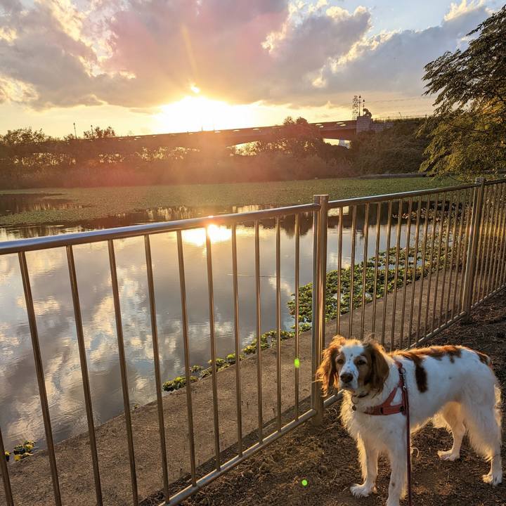 E3edf6e6 0b5c 4d63 9207 c3f66d17214d 1667647654891