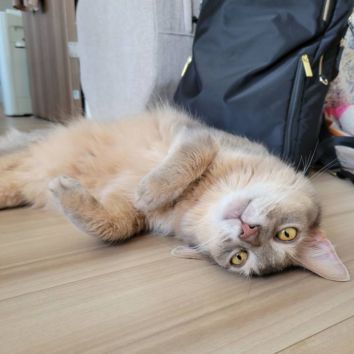 E3ee0c6d cf78 4c56 b1c9 a5f111820d0a 1664776456132