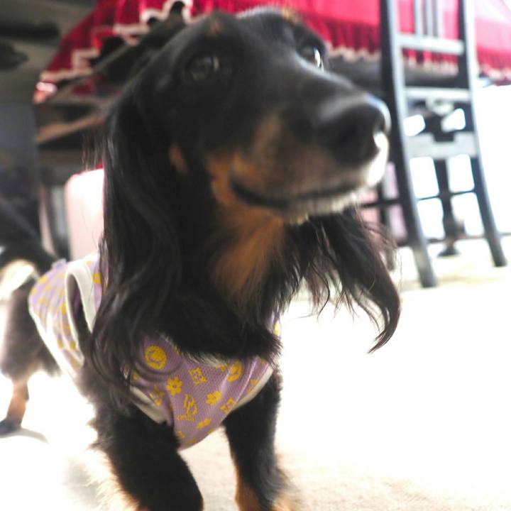 E3ee3011 fff4 4161 8ba7 4a6af21486b3 1568684268202