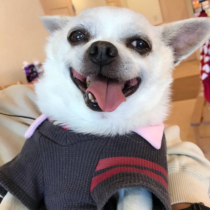 E3ee4844 40eb 4c21 9ac7 deba260674b8 1603801209034