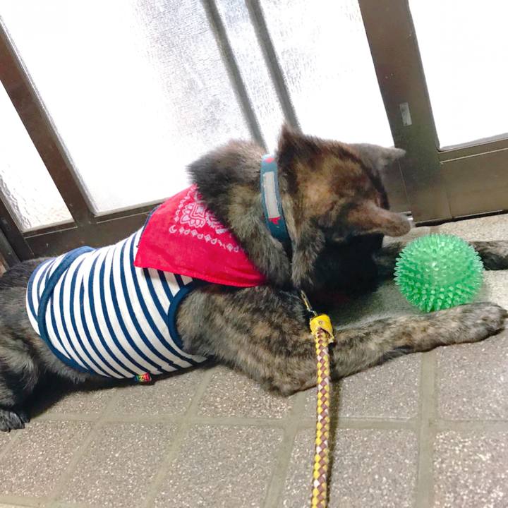 E3ee555d e57b 4eb7 acb7 50a5a6b19758 1508155823789