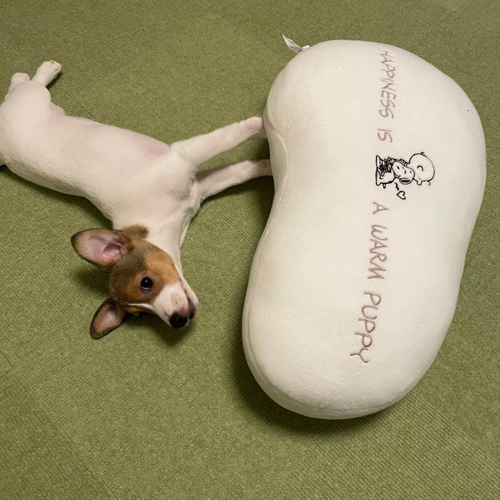 E3ee8325 86c2 4935 84b2 abc2c99db2c3 1666605699258