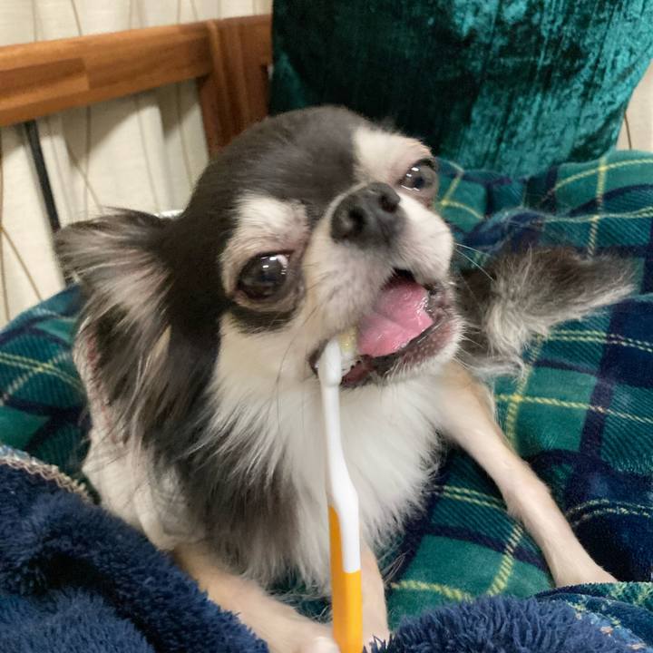 E3eeb0e0 83ed 422e 83d5 2d9d6a015850 1645365820186