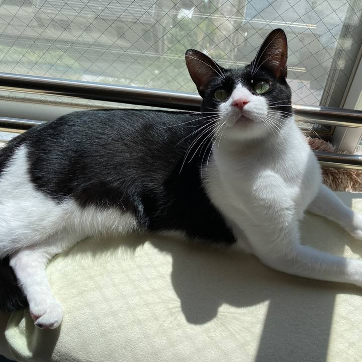 E3eeb5b5 1ac9 44f0 99e4 e7b0dbd8e4b0 1697283683767