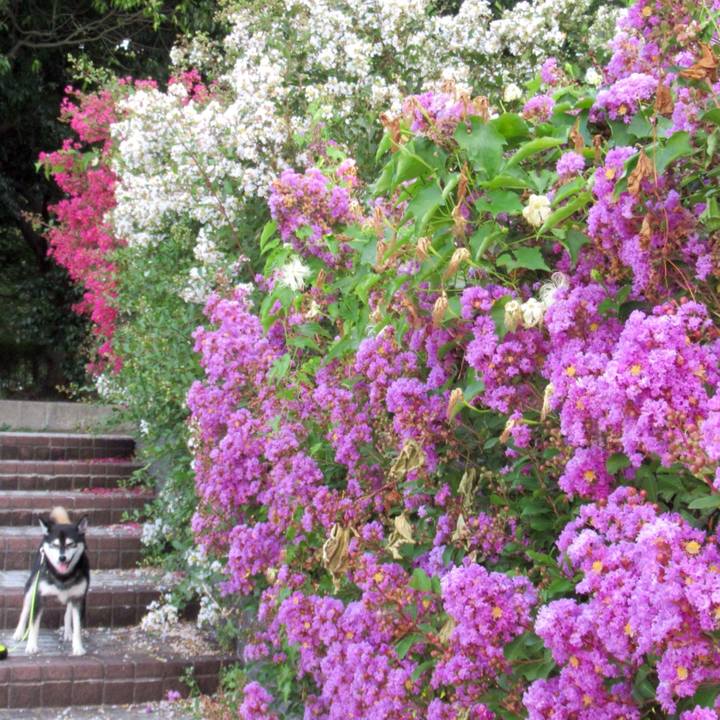 E3eec6fb 98c3 4933 99af 371c9a35749c 1566001836048