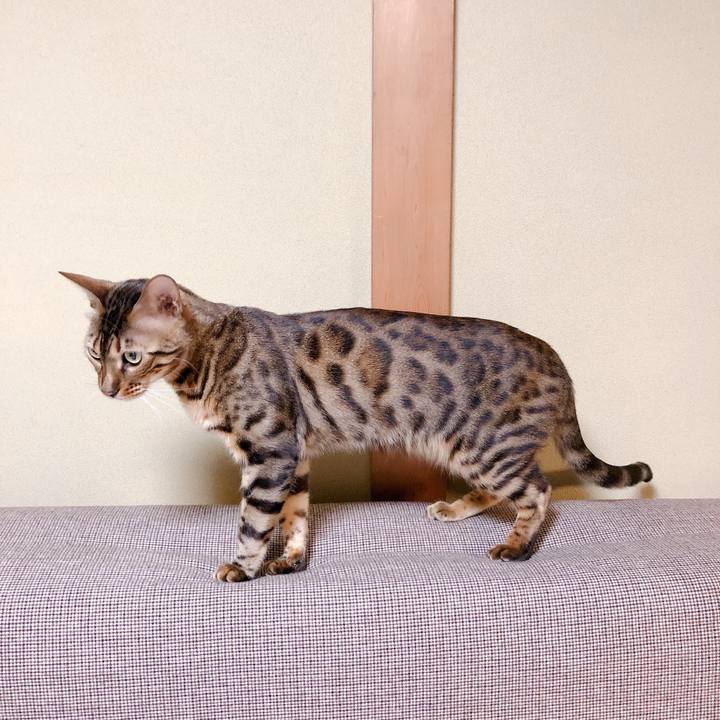 E3eeebbc 3245 4687 a0b4 37efcdea7423 1555765389589