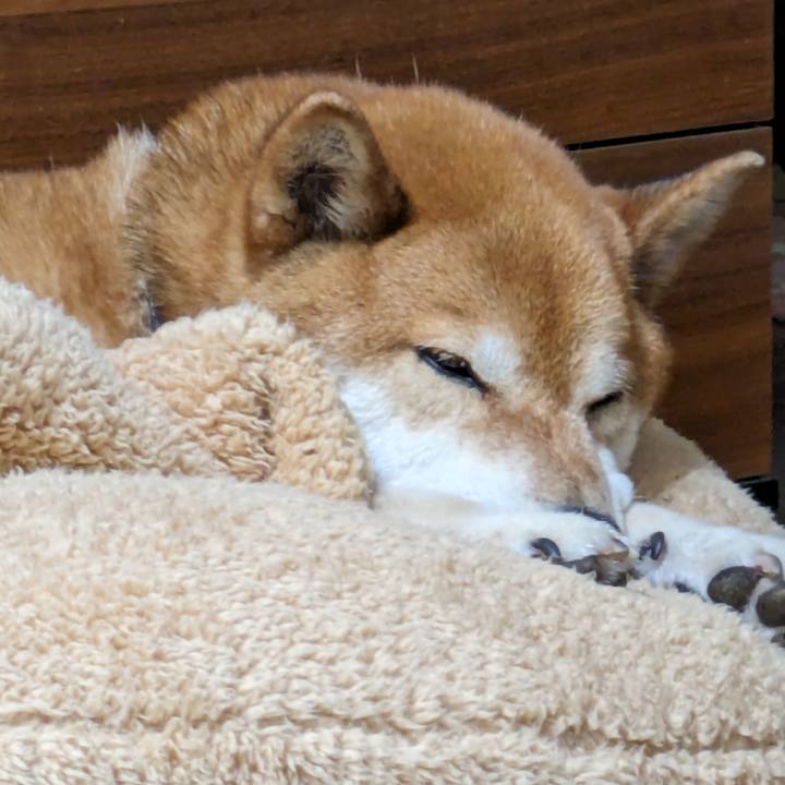 E3ef4f04 565b 4ad7 bc39 5deb05d71b15 1715046303284