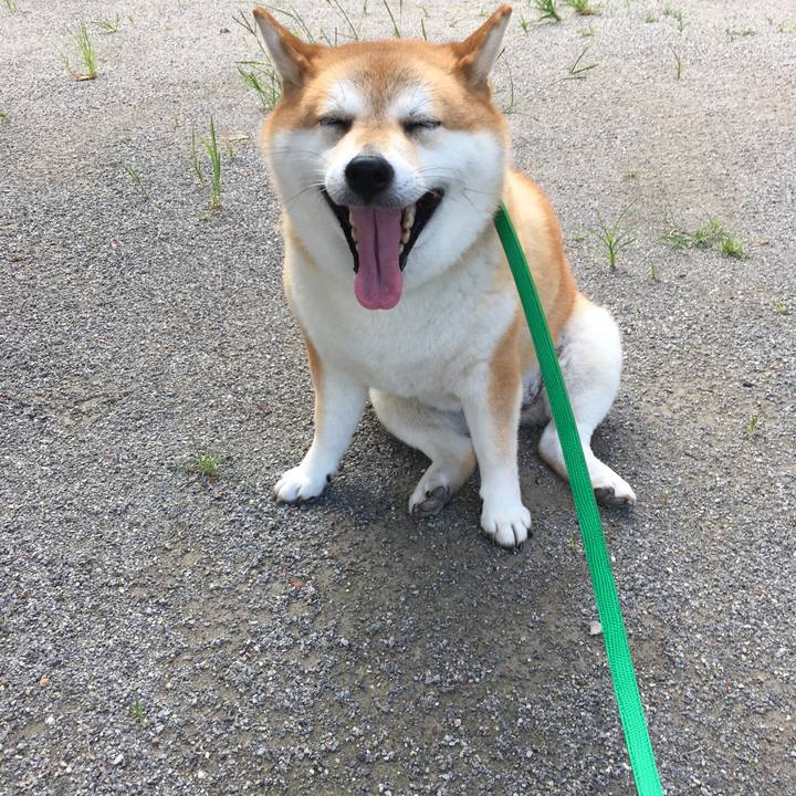 E3ef5285 5181 4b8c 891a 816e59f248b0 1599092199828