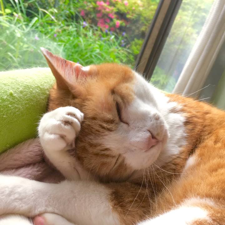 E3ef9b87 21c2 44ba 8879 0637fe982348 1560566794871