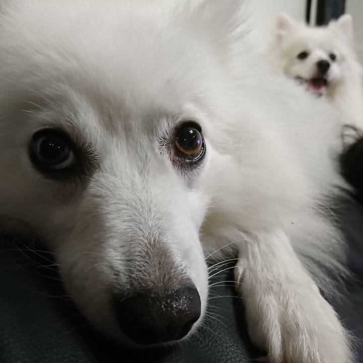 E3efcbb6 dec1 4fd5 8edb eff3be0cf18d 1600555564424