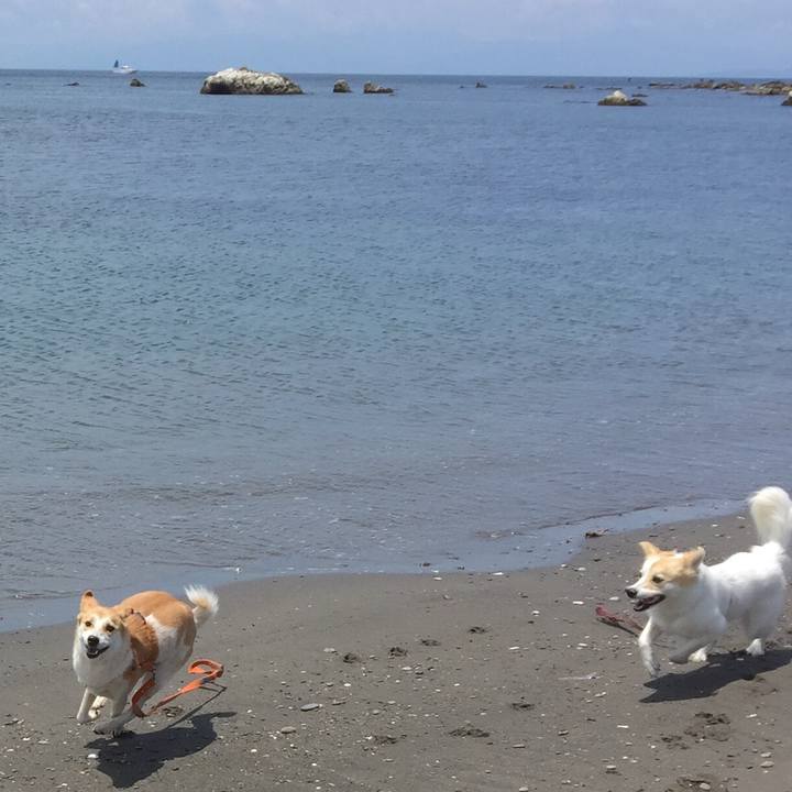 E3efe727 905d 449c bf23 866136c70f80 1511875013443