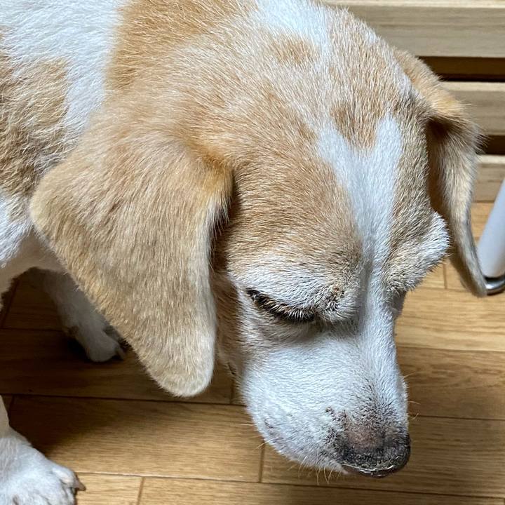 E3eff116 f7d2 4e13 8e53 207c93b43d66 1606121368607