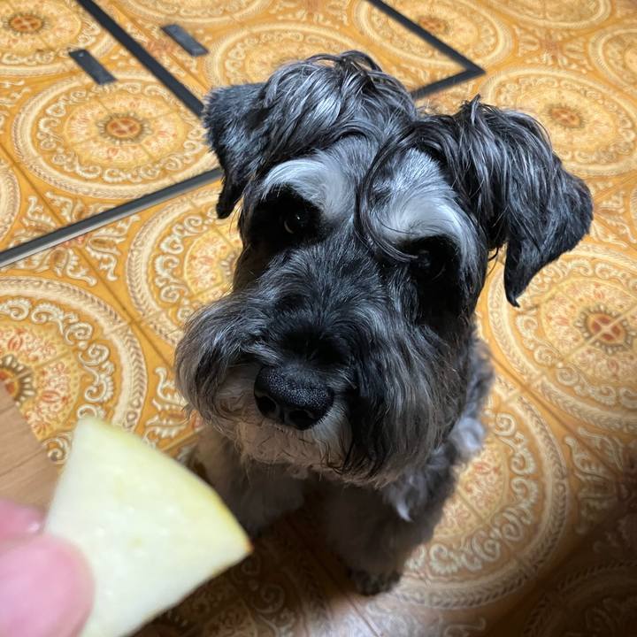 E3eff32e 16ba 40c7 b046 1ff016e10372 1721259726910