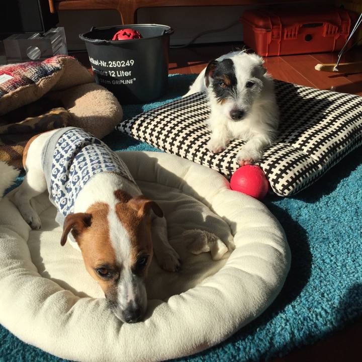 E3f01ebd db6d 4dbb b763 3ebfa919c095 1694520082185