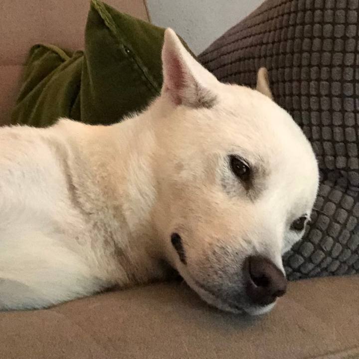 E3f04bca 399f 4c05 a3a6 63be9433726d 1573819590589