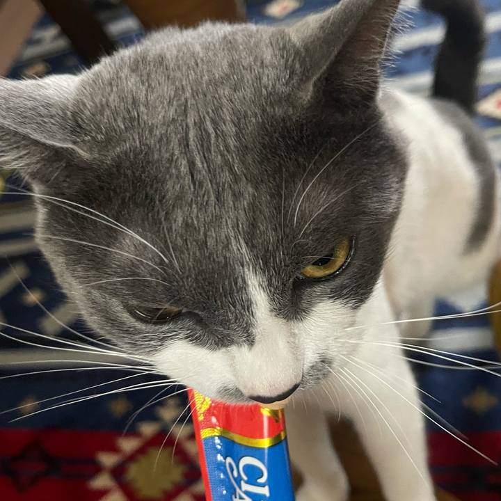 E3f06583 8868 4a3e a7c5 5a60a303dde0 1625907028400