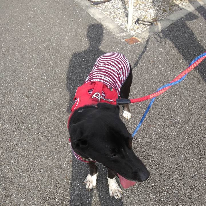 E3f06688 ba8d 4a78 89ed fb0a7136a3fd 1598743125617