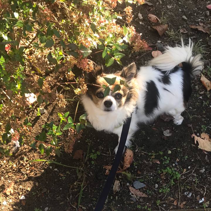 E3f0765b e675 41e5 b6ea 16a2a536b0b1 1636768047727