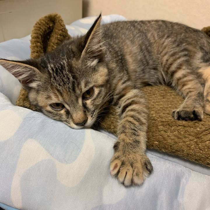 E3f08942 02f5 425b 88ba 35b9ff85c015 1592659149186