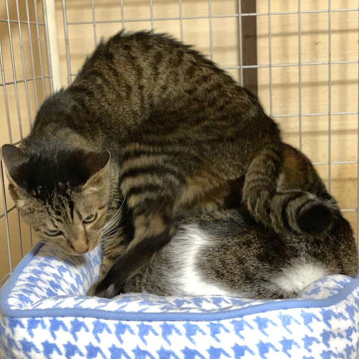 E3f09d2d 45af 4890 97e1 cfd1716f7505 1601340176232