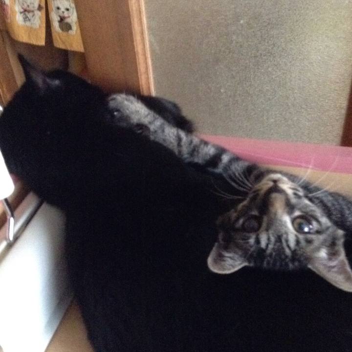 E3f0b557 61fd 429c 8ba6 52d606297f4b 1532309957360