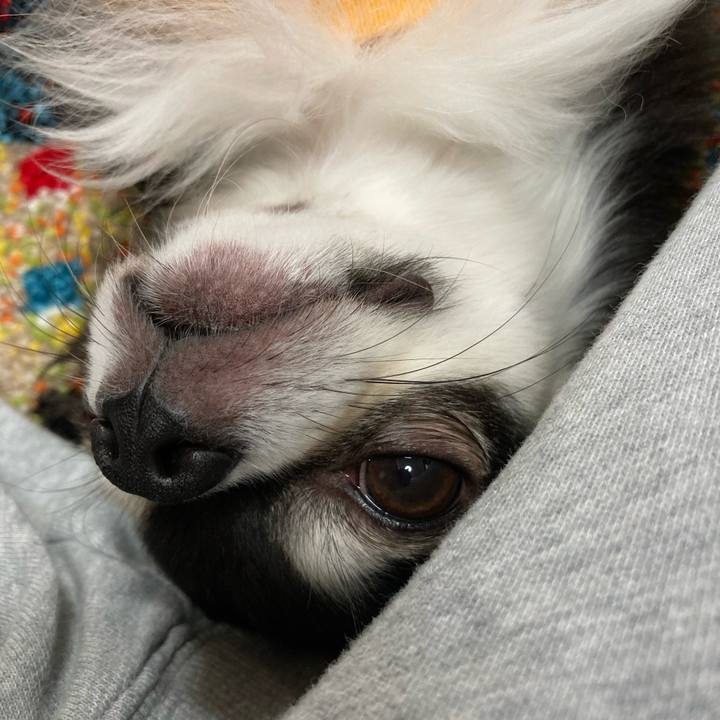 E3f0ca2e 8e71 488f 837d 6261a934695a 1680447303213