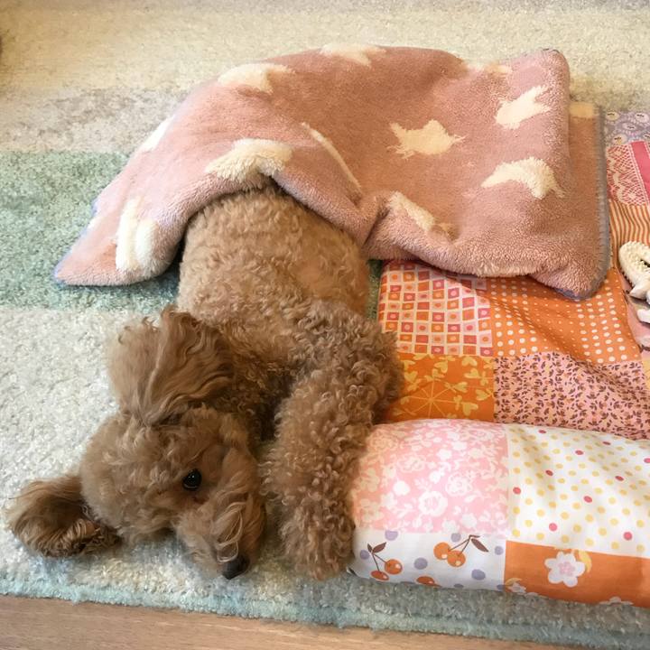 E3f10e7c c00f 470c 8210 1f6eb3ceed17 1510997886238