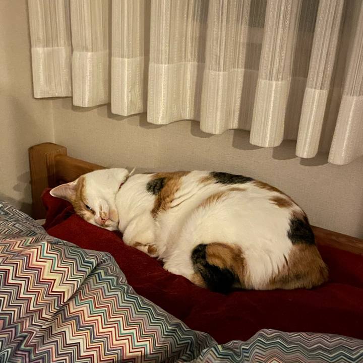 E3f116fa 890e 49c4 bc5c 8cb014ddfe04 1642860427038