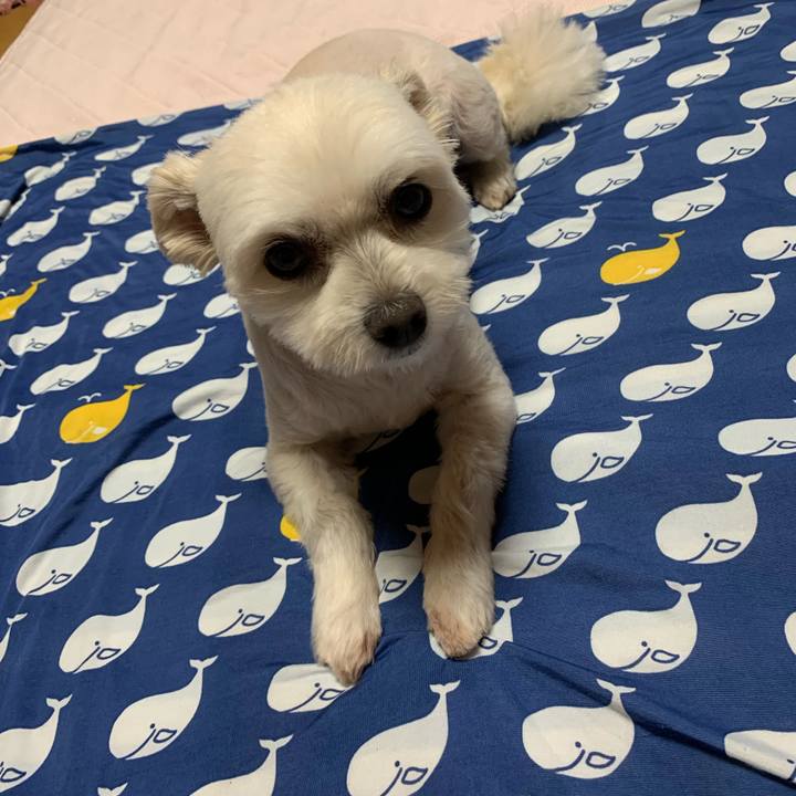 E3f12104 96d0 4340 be73 9cdbc2471254 1624792552358