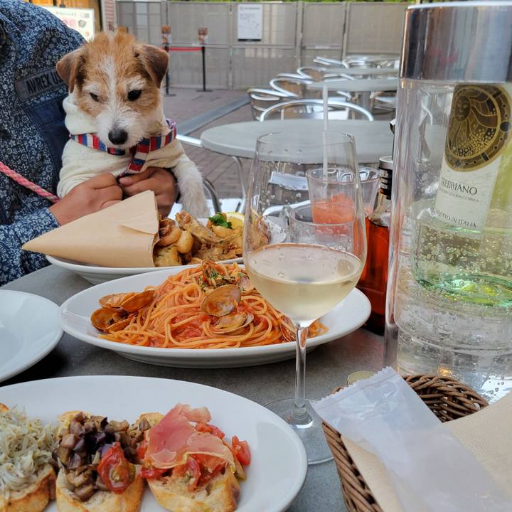 E3f12e6b fe1e 4813 bb64 0d0285bd96b4 1746018608819