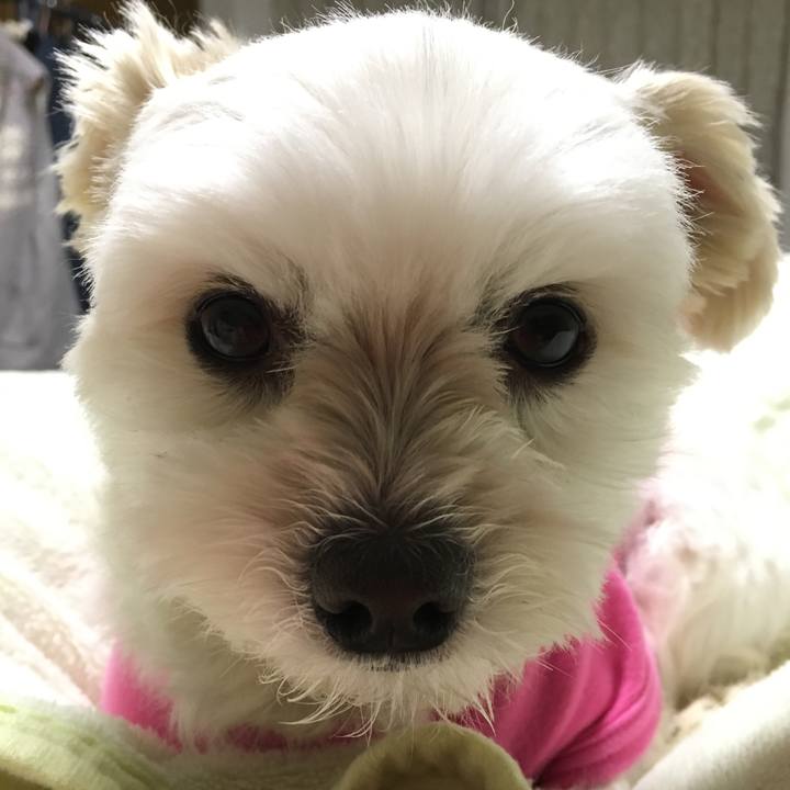 E3f15424 236d 40aa 928c 6098bd995dc8 1518344170104