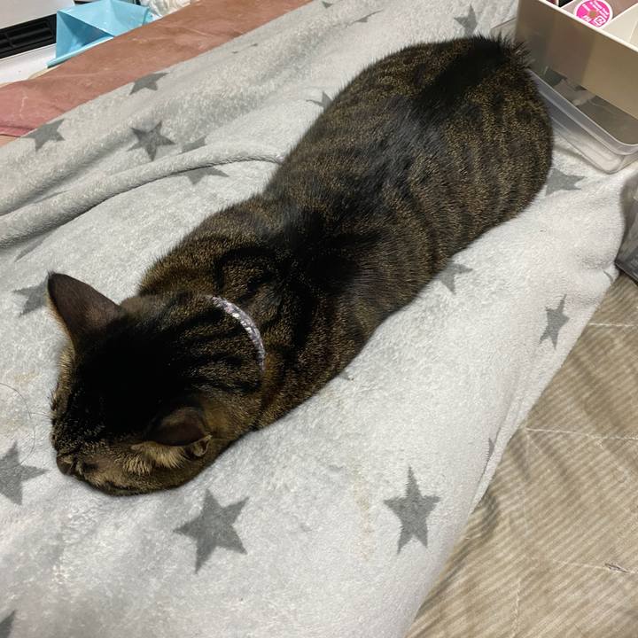 E3f16b58 29f8 41f9 a92f cc2d3a90b4d6 1605711426730