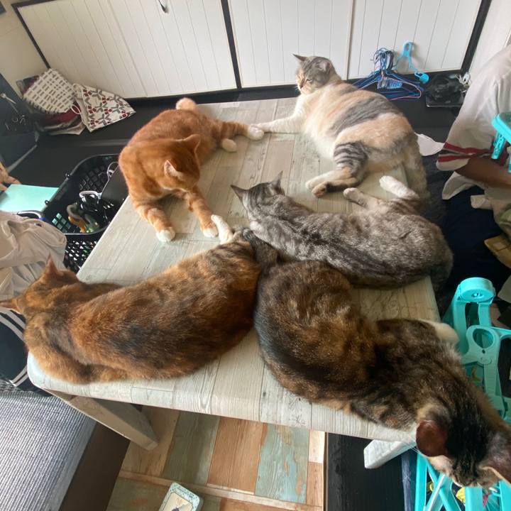 E3f18555 5370 4719 adcc c40b05a42704 1600399063205